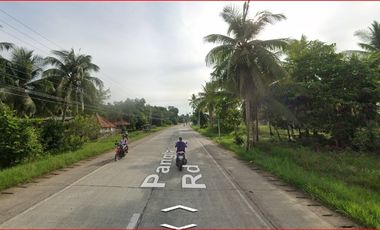 Panglao Highway Lot For Sale