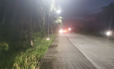 Panglao Highway Lot For Sale