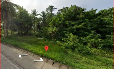 Panglao Highway Lot For Sale