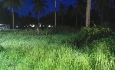 Panglao Highway Lot For Sale