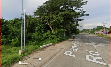 Panglao Highway Lot For Sale