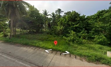 Panglao Highway Lot For Sale