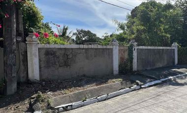 Vacant Residential Lot for Sale in UPS5 Village Parañaque