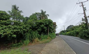 1,808 sqm Commercial lot for sale in SVD Road Tagaytay City