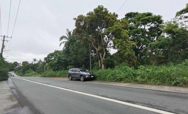 1,808 sqm Commercial lot for sale in SVD Road Tagaytay City