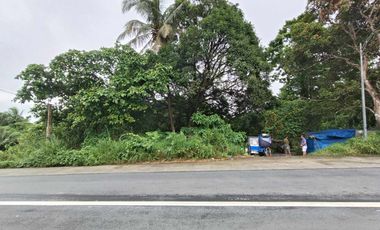 1,808 sqm Commercial lot for sale in SVD Road Tagaytay City