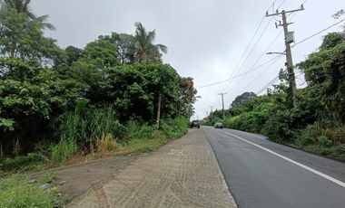 1,808 sqm Commercial lot for sale in SVD Road Tagaytay City