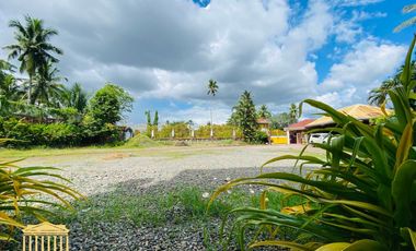 3,875 Sqm Elegant Mansion (2-Storey) at Apokon, Tagum City is For Sale.