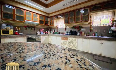 3,875 Sqm Elegant Mansion (2-Storey) at Apokon, Tagum City is For Sale.