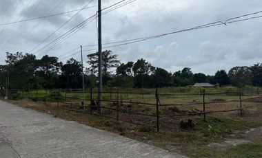 500 SQM Residential Lot Near to Beach( installment or cash)