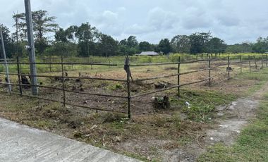 500 SQM Residential Lot Near to Beach( installment or cash)