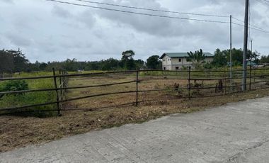 500 SQM Residential Lot Near to Beach( installment or cash)
