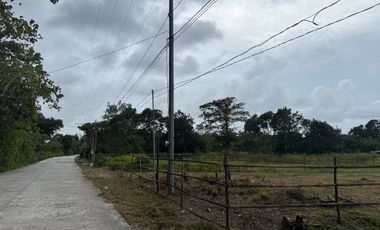 500 SQM Residential Lot Near to Beach( installment or cash)