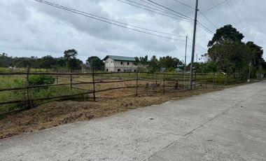 500 SQM Residential Lot Near to Beach( installment or cash)