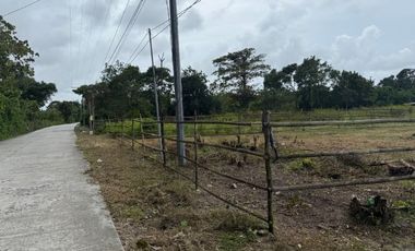 500 SQM Residential Lot Near to Beach( installment or cash)