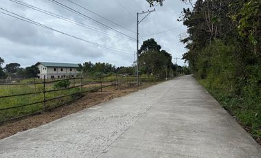 500 SQM Residential Lot Near to Beach( installment or cash)