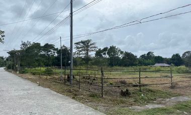 500 SQM Residential Lot Near to Beach( installment or cash)