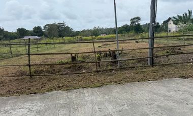 500 SQM Residential Lot Near to Beach( installment or cash)