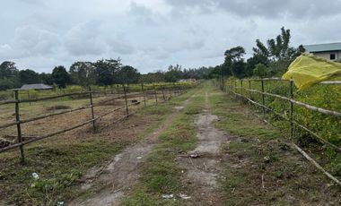 500 SQM Residential Lot Near to Beach( installment or cash)