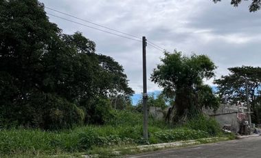 Lot for Sale - Queensborough Subdivision