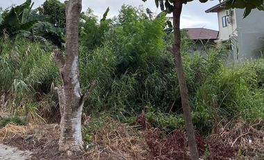 Lot for Sale - Queensborough Subdivision