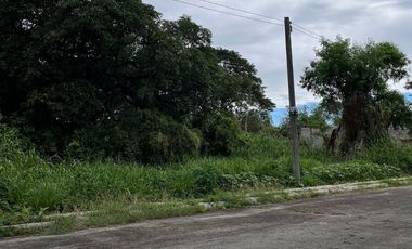 Lot for Sale - Queensborough Subdivision