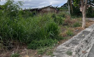 Lot for Sale - Queensborough Subdivision