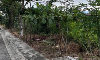 Lot for Sale - Queensborough Subdivision