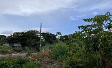 Lot for Sale - Queensborough Subdivision