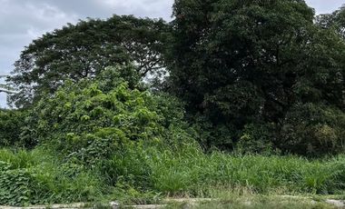 Lot for Sale - Queensborough Subdivision