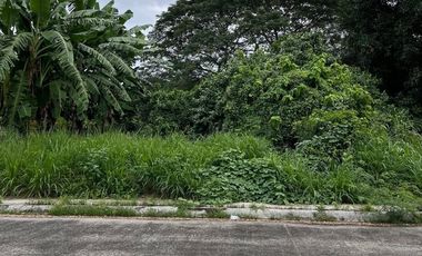 Lot for Sale - Queensborough Subdivision