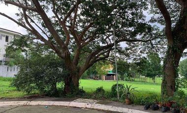 Residential Vacant Lot for Sale at Manila Southwoods Cavite