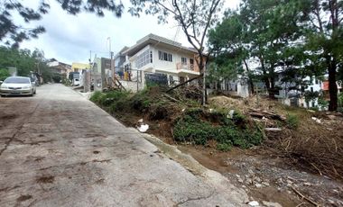 259sqm Flat Terrain Lot for Sale in Eagle Crest, Baguio City
