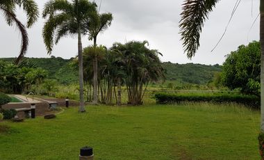 169sqm Prime Lot for Sale near Nuvali, Paseo and Laguna Technopark