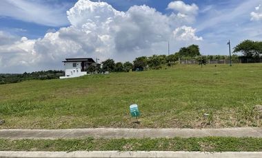 259 sqm Lot for Sale in Carmona, Cavite - Pahara at Southwoods City