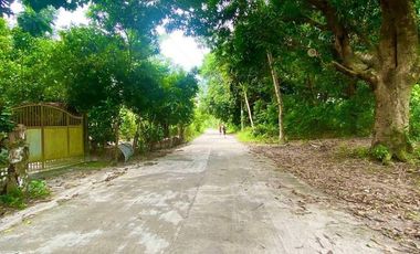 1,000 sqm Lot for Sale in San Agustin, Castillejos, Zambales