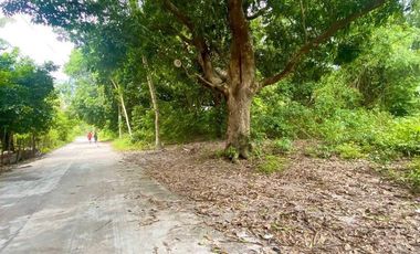 1,000 sqm Lot for Sale in San Agustin, Castillejos, Zambales