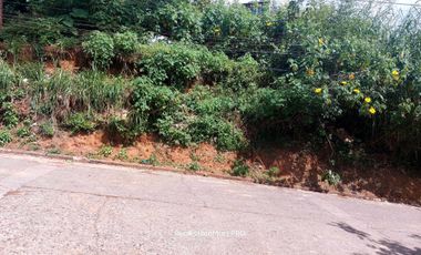 17k/sqm Lot with Area of 202 sq.m. For Sale in San Luis Village, Baguio City