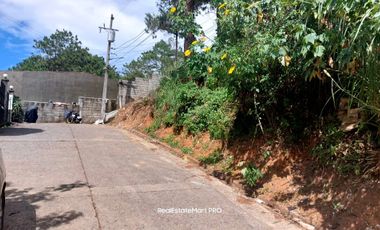 17k/sqm Lot with Area of 202 sq.m. For Sale in San Luis Village, Baguio City