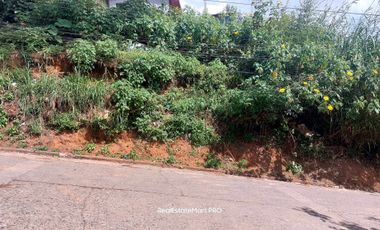 17k/sqm Lot with Area of 202 sq.m. For Sale in San Luis Village, Baguio City