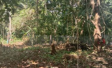 400 Sqm. Residential Lot for Sale in Toril Babak, Island of garden Samal, Samal