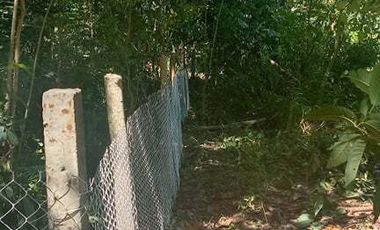 400 Sqm. Residential Lot for Sale in Toril Babak, Island of garden Samal, Samal