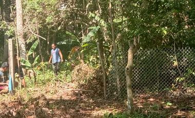 400 Sqm. Residential Lot for Sale in Toril Babak, Island of garden Samal, Samal