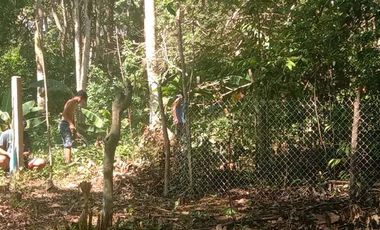 400 Sqm. Residential Lot for Sale in Toril Babak, Island of garden Samal, Samal