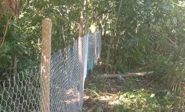 400 Sqm. Residential Lot for Sale in Toril Babak, Island of garden Samal, Samal