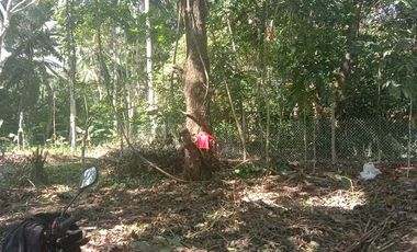 400 Sqm. Residential Lot for Sale in Toril Babak, Island of garden Samal, Samal