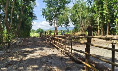 500 SQM RESIDENTIAL LOT (SOLO TITLE)