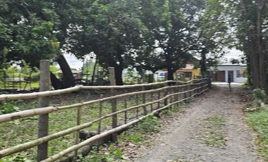 500 SQM RESIDENTIAL LOT (SOLO TITLE)