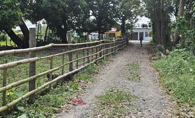 500 SQM RESIDENTIAL LOT (SOLO TITLE)