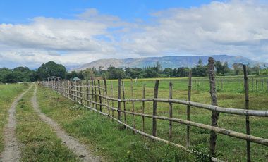 500 SQM RESIDENTIAL LOT (SOLO TITLE)